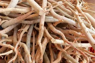 Тоngkаt Аlі Rооt