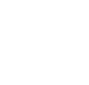 Shipping icon