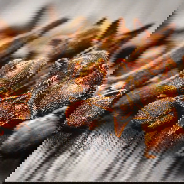 Indonesian Clove Bud Oil