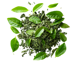 Greek Mountain Oregano Oil