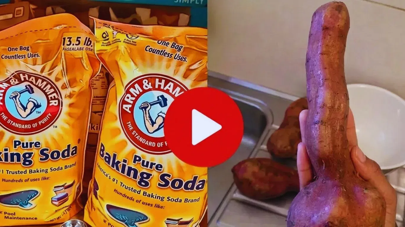 Watch the presentation