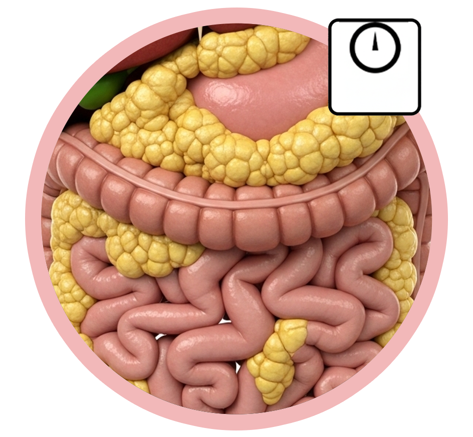 Ícone de Metabolismo Lento