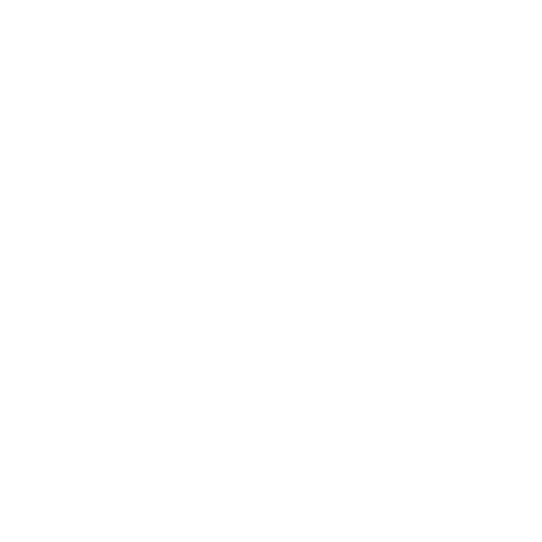 Logo Loneer