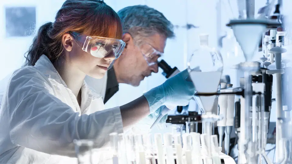 Researchers analyzing natural compounds in a laboratory environment